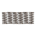 Premier Clutch Springs Heavy Duty