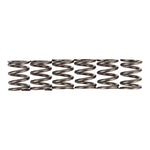 Premier Clutch Springs Heavy Duty