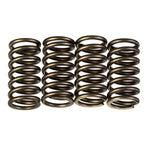 Premier Clutch Springs Heavy Duty