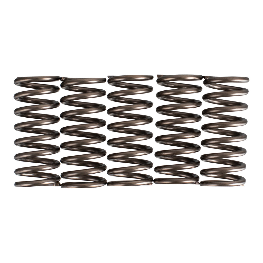 Premier Clutch Springs Heavy Duty