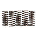 Premier Clutch Springs Heavy Duty