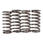 Premier Clutch Springs Heavy Duty