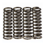 Premier Clutch Springs Heavy Duty