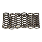 Premier Clutch Springs Heavy Duty
