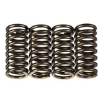 Premier Clutch Springs Heavy Duty