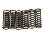 Premier Clutch Springs Heavy Duty