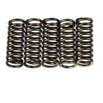 Premier Clutch Springs Heavy Duty