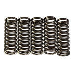 Premier Clutch Springs Heavy Duty
