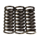 Premier Clutch Springs Heavy Duty