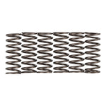 Premier Clutch Springs Heavy Duty