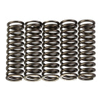 Premier Clutch Springs Heavy Duty