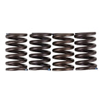 Premier Clutch Springs Heavy Duty
