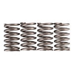 Premier Clutch Springs Heavy Duty