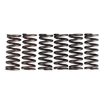 Premier Clutch Springs Heavy Duty