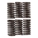 Premier Clutch Springs Heavy Duty