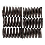 Premier Clutch Springs Heavy Duty