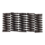 Premier Clutch Springs Heavy Duty