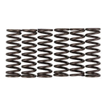 Premier Clutch Springs Heavy Duty