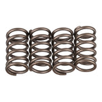 Premier Clutch Springs Heavy Duty