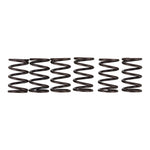 Premier Clutch Springs Heavy Duty