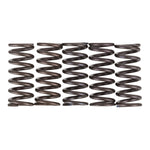 Premier Clutch Springs Heavy Duty