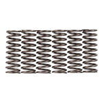 Premier Clutch Springs Heavy Duty