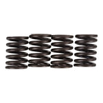 Premier Clutch Springs Heavy Duty