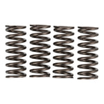 Premier Clutch Springs Heavy Duty