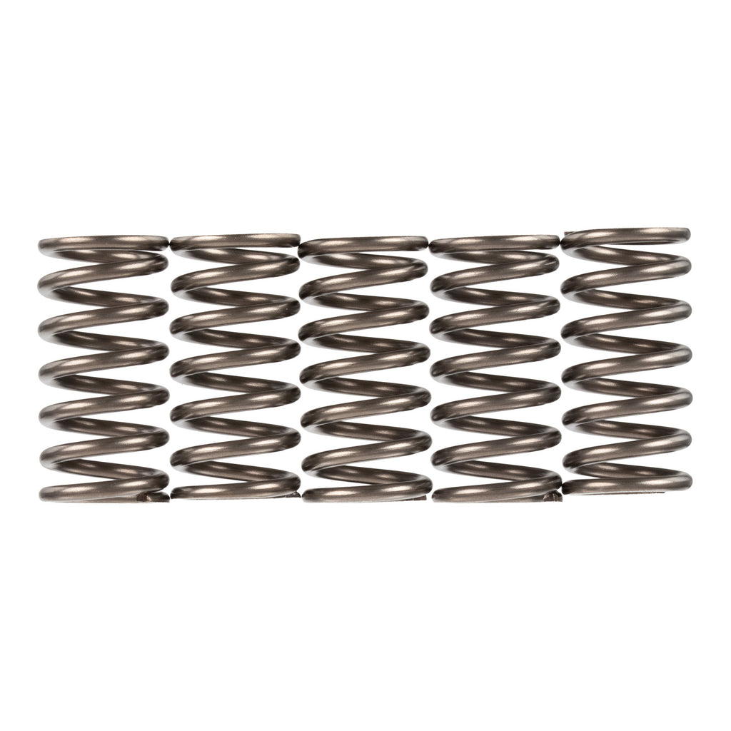 Premier Clutch Springs Heavy Duty