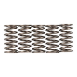 Premier Clutch Springs Heavy Duty