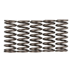 Premier Clutch Springs Heavy Duty