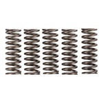 Premier Clutch Springs Heavy Duty