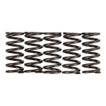 Premier Clutch Springs Heavy Duty