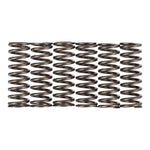 Premier Clutch Springs Heavy Duty