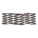 Premier Clutch Springs Heavy Duty