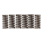 Premier Clutch Springs Heavy Duty