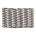 Premier Clutch Springs Heavy Duty