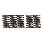 Premier Clutch Springs Heavy Duty