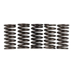 Premier Clutch Springs Heavy Duty