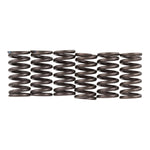 Premier Clutch Springs Heavy Duty