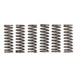 Premier Clutch Springs Heavy Duty