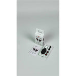 PINLOCK EARPLUGS (INC KEY CHAIN CASE) (WAS PL000507)