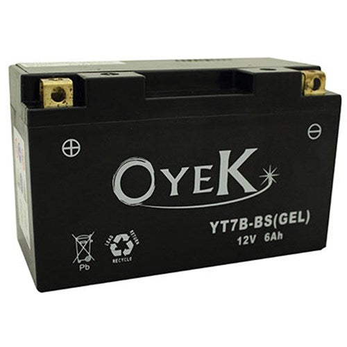 OYEK PREMIUM BATTERY-8. HD AGM 200/300 CCA QTY PR. MULTI 3 - CAN REPL. 65948-00/YTX14-BS  [ONC01]