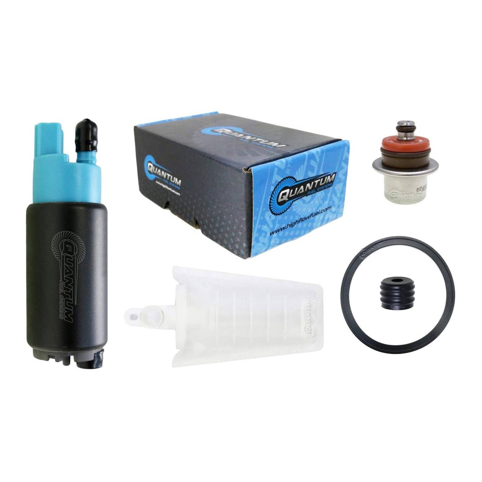 Quantum In Tank Efi Fuel Pump With Regulator + Tank Seal