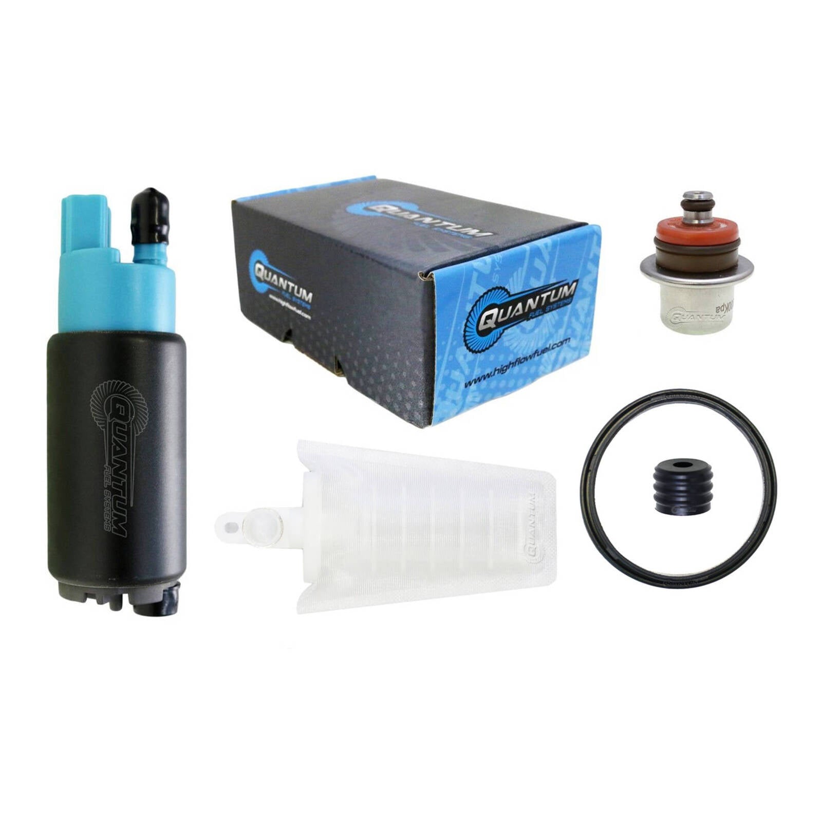 Quantum In Tank Efi Fuel Pump With Regulator + Tank Seal