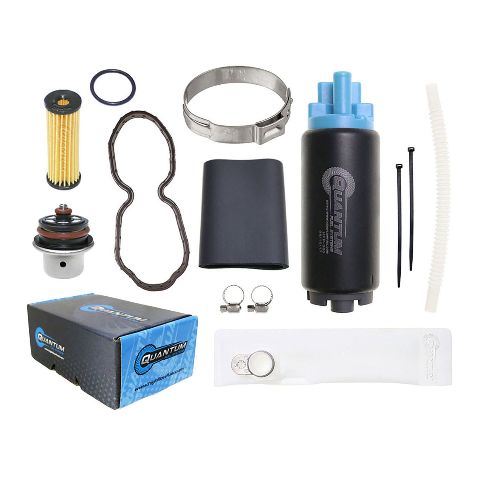 Quantum In Tank Efi Fuel Pump With Regulator + Tank Seal + Filter
