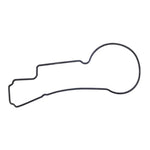 Quantum Fuel Pump Seal Gasket