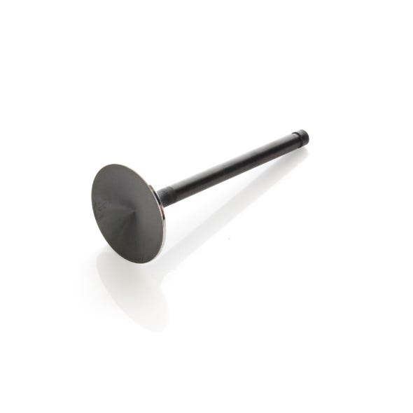 AVV VALVES VALVE INT XL88-03 1200C OEM REPL