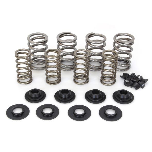 AVV VALVES VALVE SPRING KIT BT84-04 .600 ST