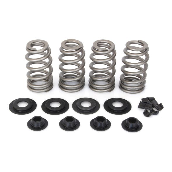 AVV VALVES VALVE SPRING KIT BT84-04 .650 BH